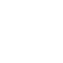 Customer Focus and Satisfaction